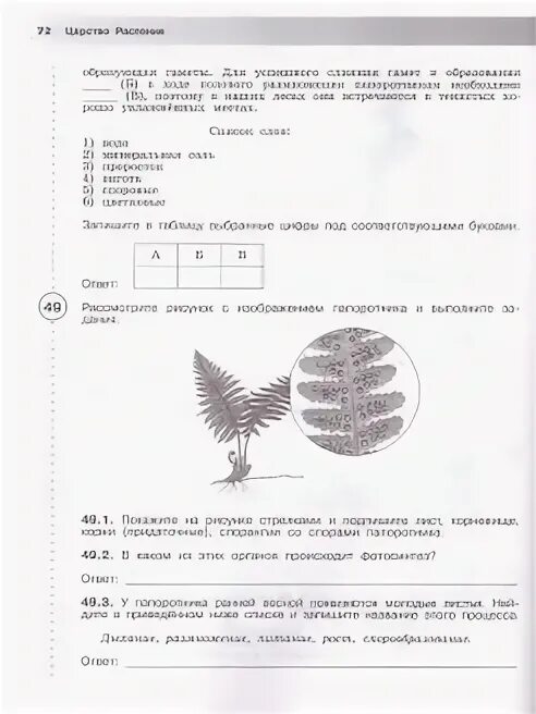 5 класс биология впр 2 вариант ответы. Впр по биологии 5. впр по биологии 5 рохлов. впр по биологии 5 класс 2 часть. впр по биологии 5 класс с ответами.