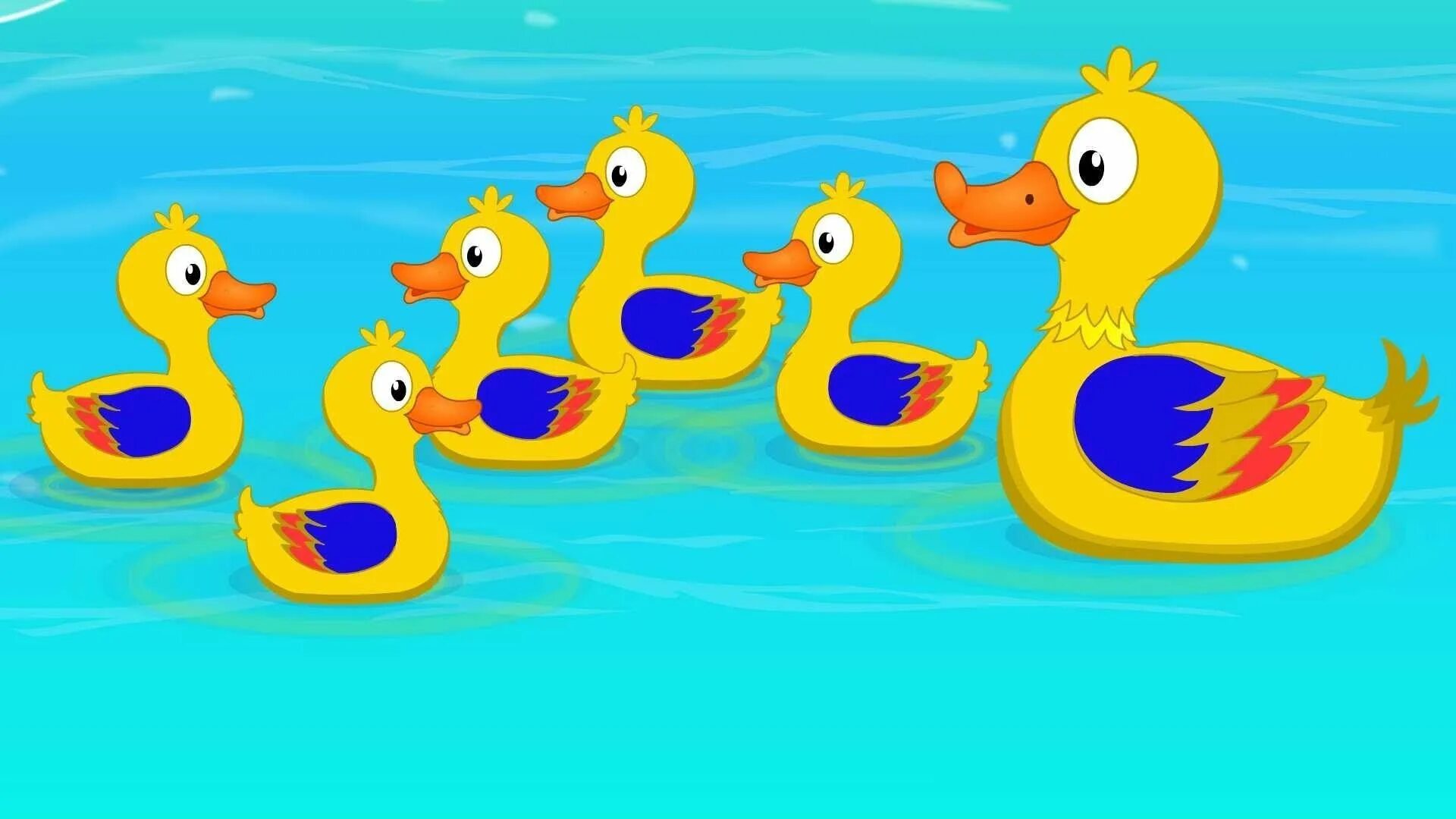 5 ducks. Уточка. Утенок для детей. Утка с утятами. Утка с утятами плывут.