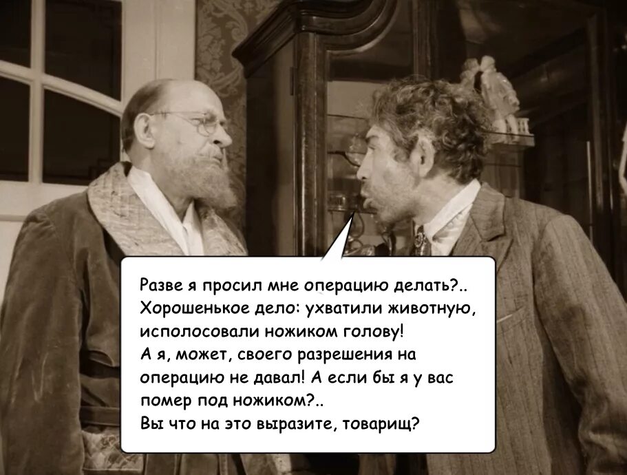 Цитаты из собачьего сердца. Шариков из собачьего сердца фразы. Фразы из собачьего сердца.