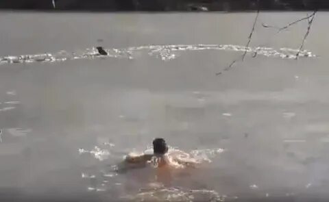 Вода спасла жизнь