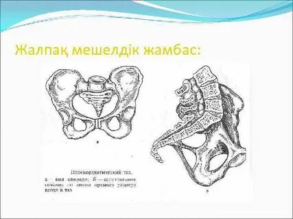 Жүгіретін порно