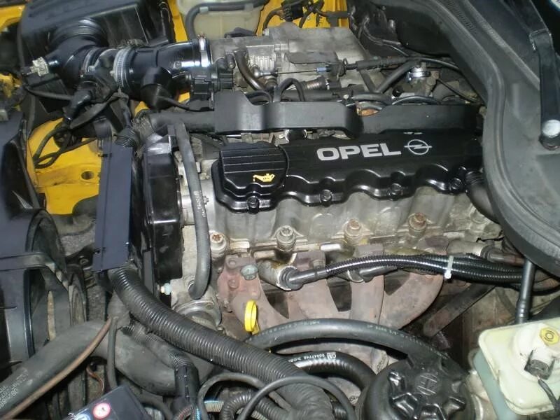 Двигатели opel 2.0. Двигатель x20xev Опель Омега. Двигатель Опель Омега б 2.0. Двигатель Опель Омега 2.0 8 клапанов. Двигатель x20se Опель Омега б.