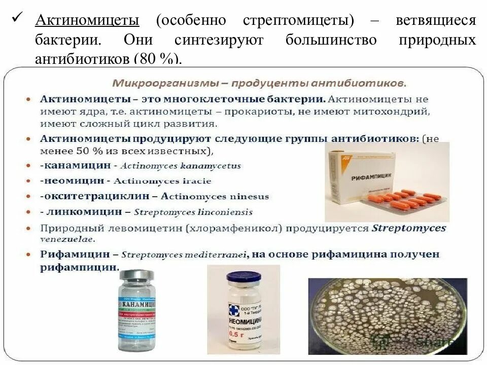 Антибиотики. Биотехнологические лекарственные препараты. Лекарственные препараты из микроорганизмов. Антибиотики выделенные из бактерий.