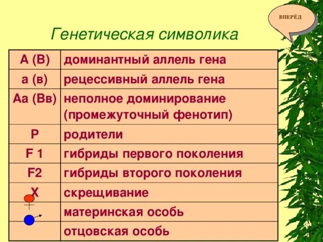 Знаки в генетике. Обозначения генетики. Символы используемые в генетике. Ген доминантные и рецессивные гены.