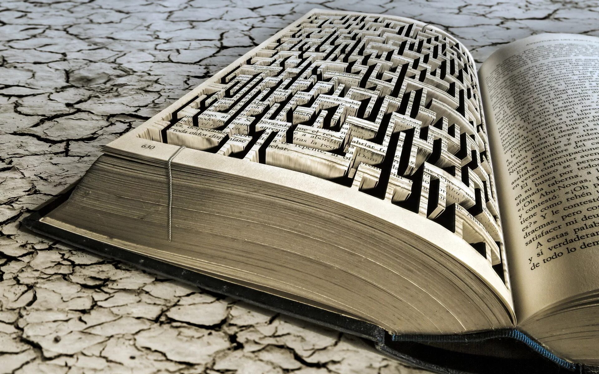 Оригинальный сюжет книги. Построение сюжета книги. Книжки по сюжетам. Элизабет саган книжные образы. Сюжет книги.