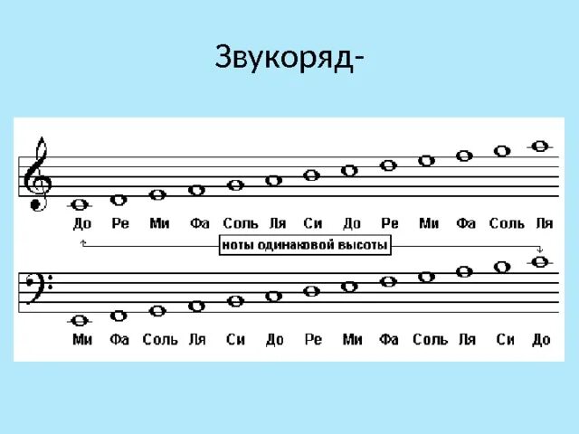 Ноты скрипичного ключа. Звукоряд басового ключа. Гамазвукоряд соль мажор. Звукоряд в скрипичном и басовом Ключе. Гамма до мажор в басовом Ключе.