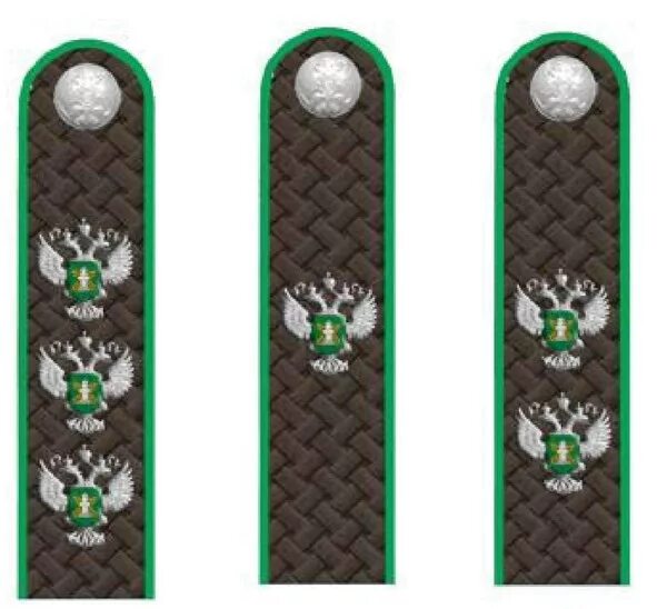 государственный советник российской федерации 3 класса погоны. чины государственной гражданской службы рф погоны налоговая. референт ггс рф 2 класса погоны. советник государственной службы звания. чины фссп погоны.