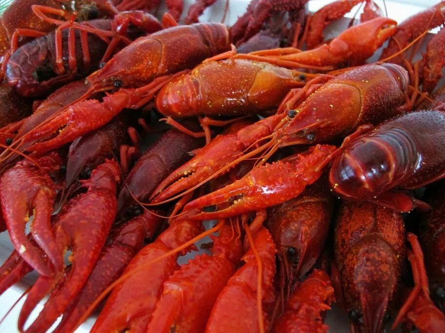 Вкусный рачок. Вареные. Crayfish. Rak.