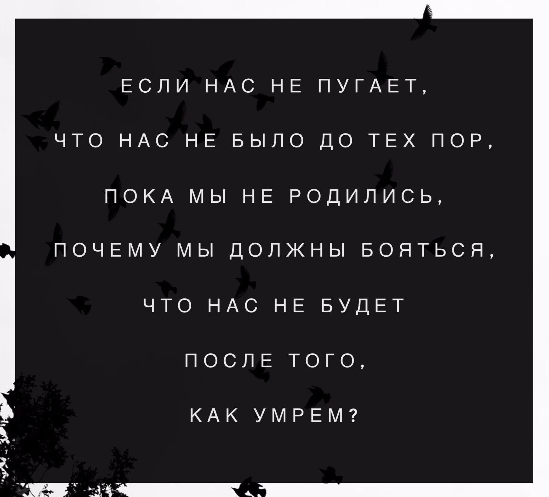 Почему мы живем. Зачем жить если ты всё равно умрёшь?. Зачем мы рождаемся. Я умру за нас двоих