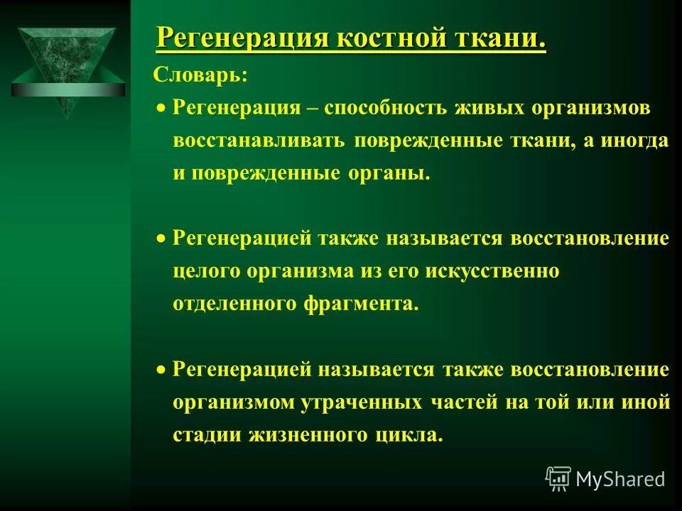 регенерация имен