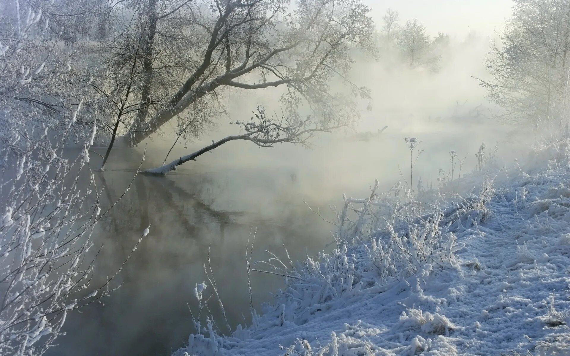 Пелена воды. Пасмурный зимний день. Ледяной туман. Зима туман. Природные явления туман.