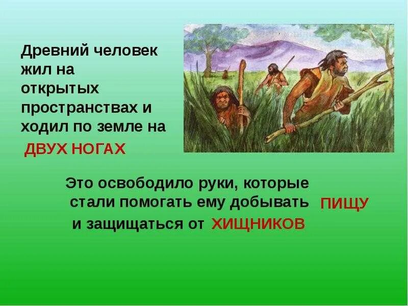 Первобытно определение. Древнейшие люди презентация. Древние люди доклад. Рассказ о древних людях. Рассказ о древнем человеке.