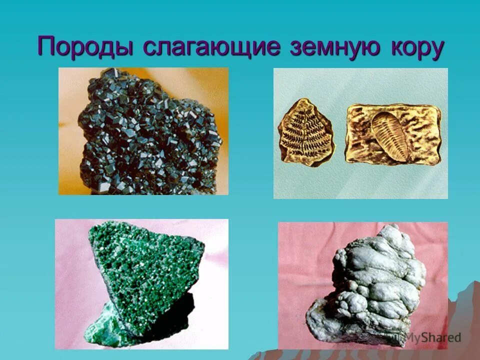 Слагающие породы. Породы слагающие земную кору. Породы слагающие земную кору на территории. Породы слагающие земную кору. Породы слагающие земную кору.