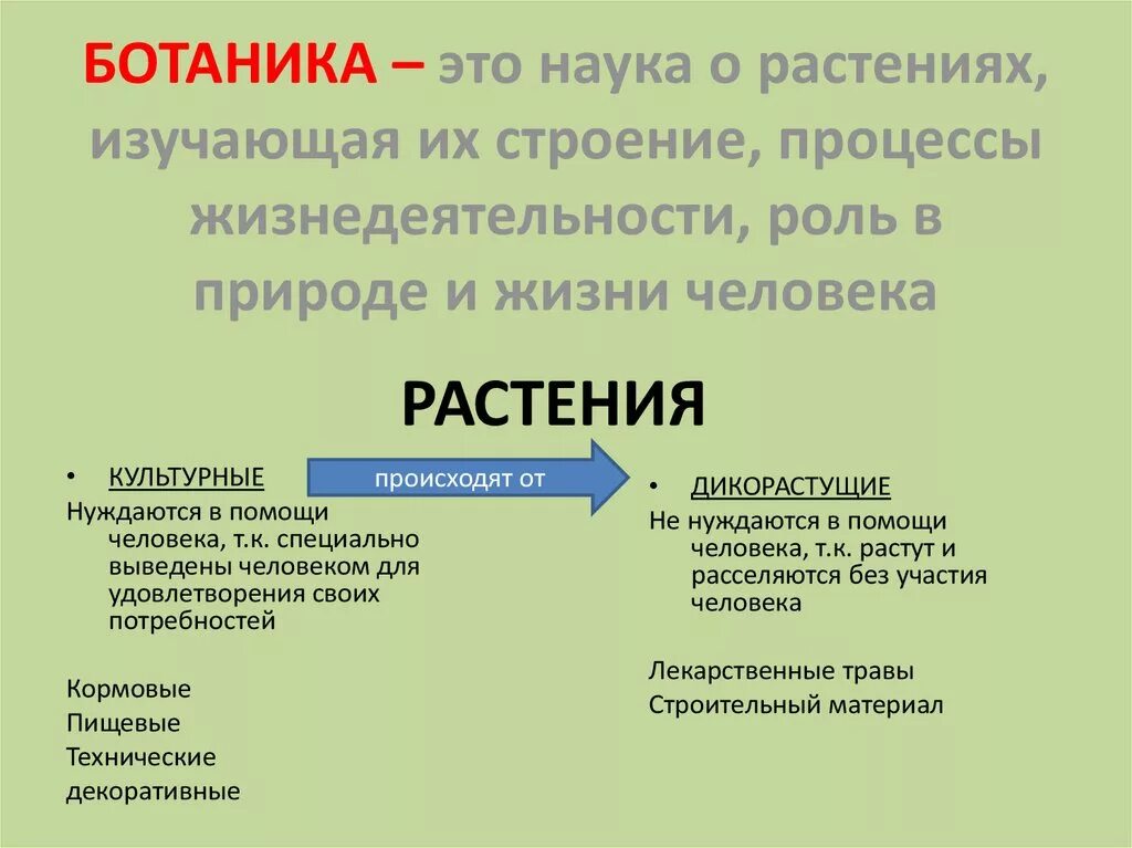 Ботаника естественная наука