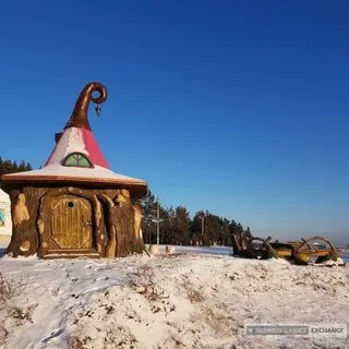 Сосновый бор воронеж