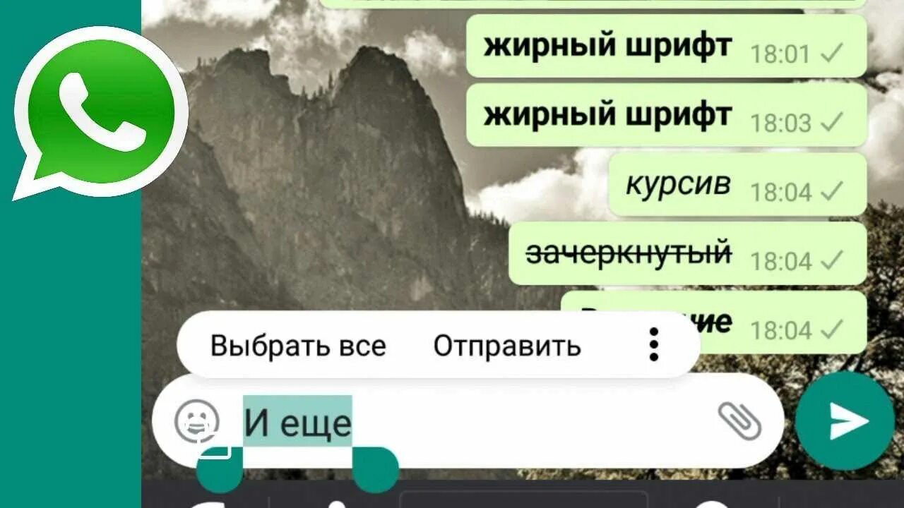 Как поменять шрифт в ватсап. Шрифты в ватсапе. жирный шрифт в вотсапе. выделение жирны в ввацап. курсив ватсап в ватсапе.