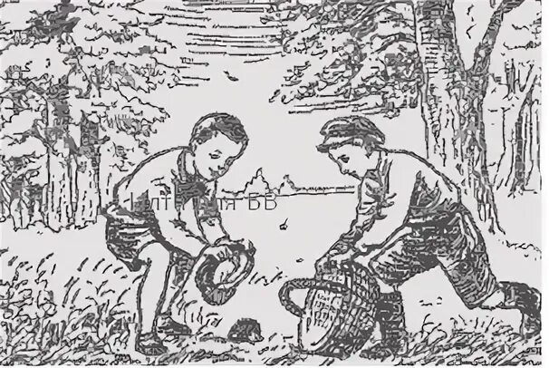 Васильки лыньков