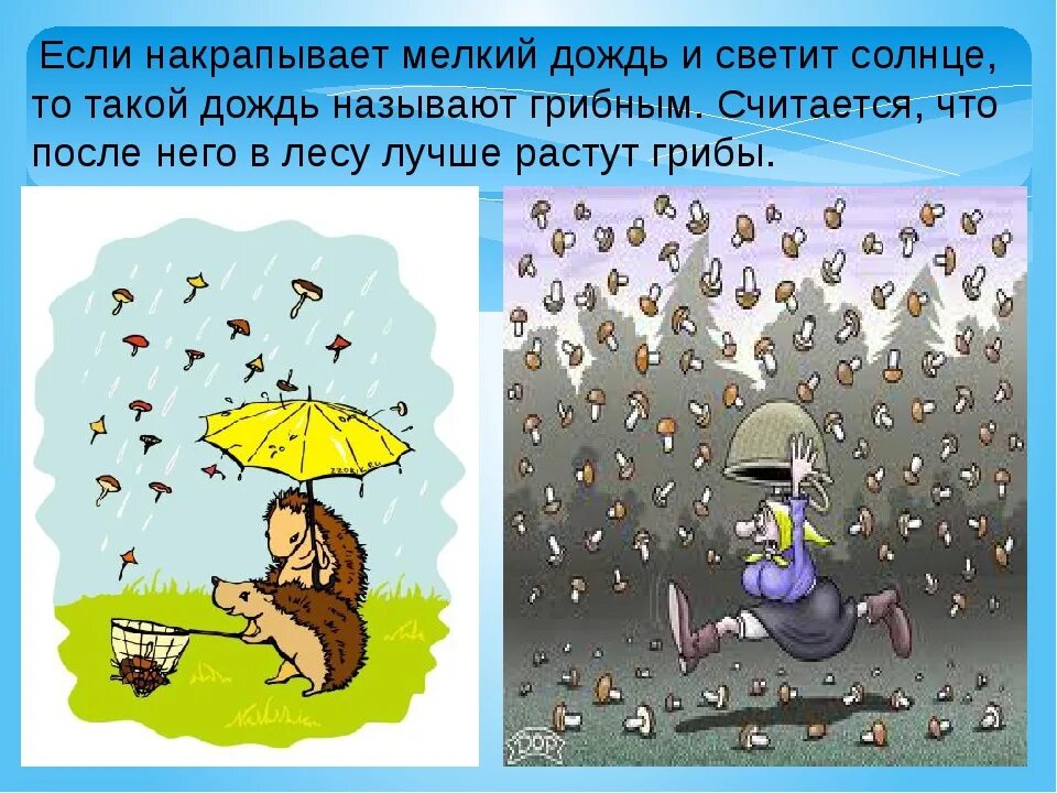 Скоро пойдет дождь пчелка. Плохая погода иллюстрация. Дождь рисунок. Плохая погода рисунок. Дождливая погода рисунок.