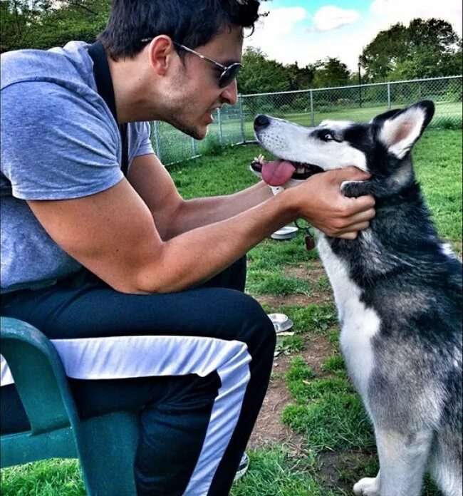 1 mike has a. Doctor mike varshavski dog. парень с хаски. мужчина с собакой. парень с собакой хаски.