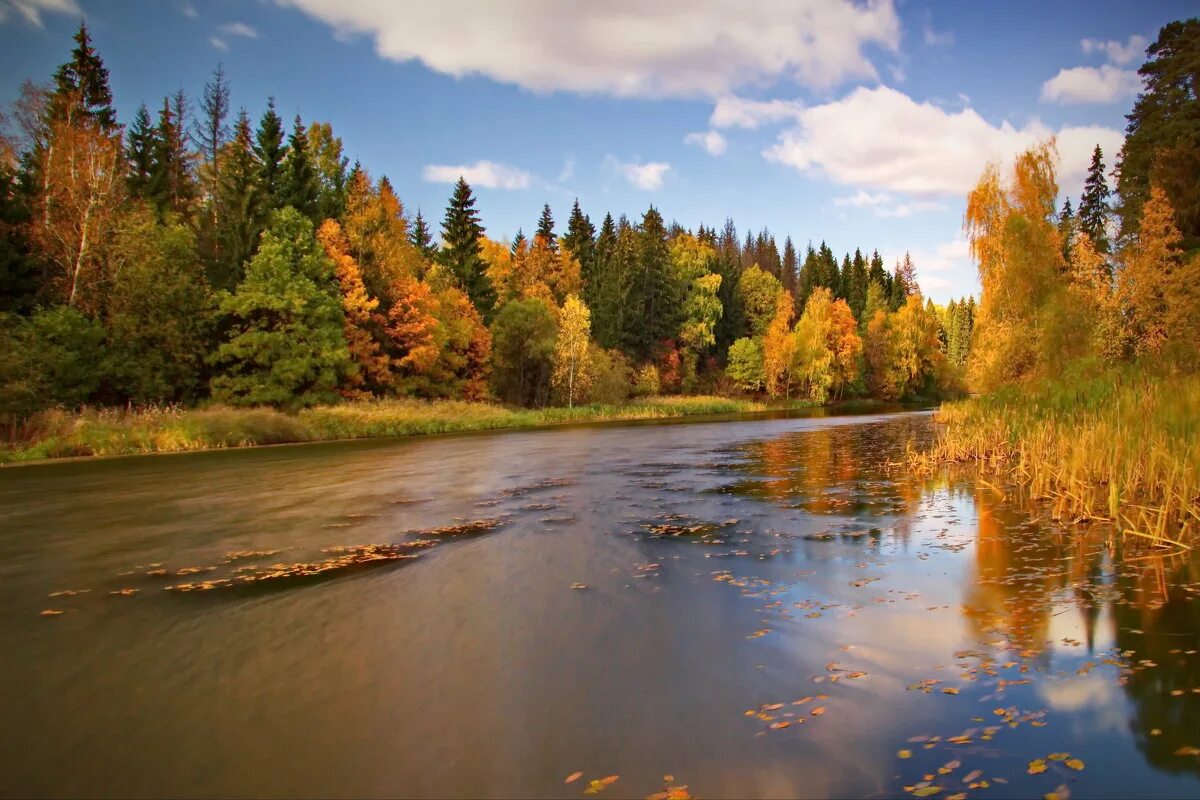 лодка на реке пейзаж. река нерская осень. осенний пейзаж с речкой. осеннее озеро. поназырево осень река.