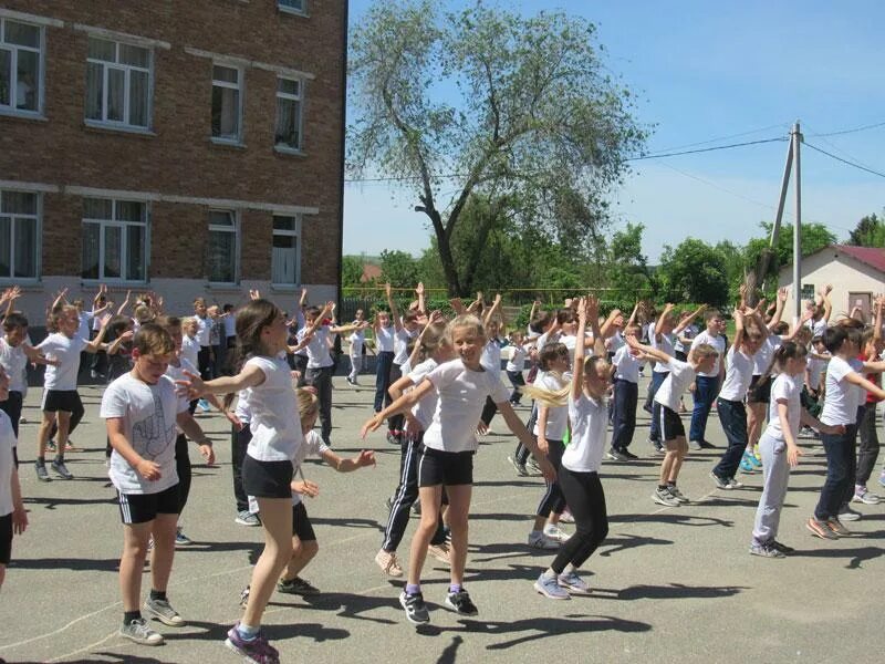 Моу сош александровское ставропольский край