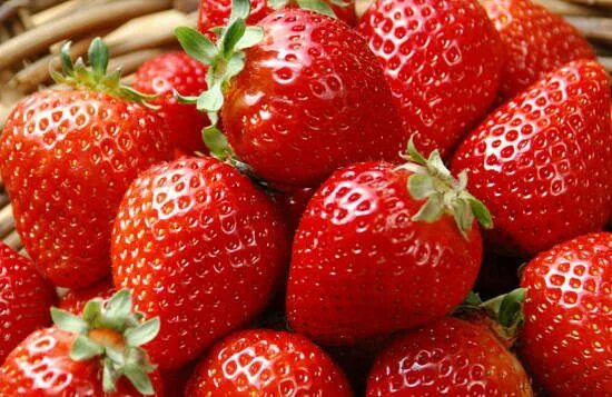 Аллергия клубника фото Strawberry Allergy stock photo. Image of strawberry, warning 46088320