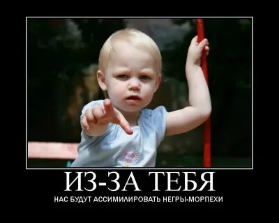 Ассимилировать это
