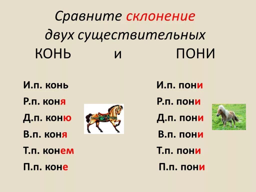 Склонение слова лошадка. Склонение существительных конь. Конь склонение. Просклонять по падежам слово конь.