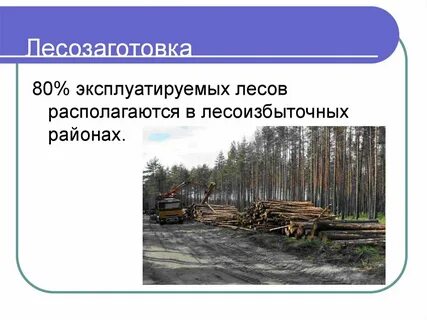 Почему лесная промышленность расположена на крупных реках