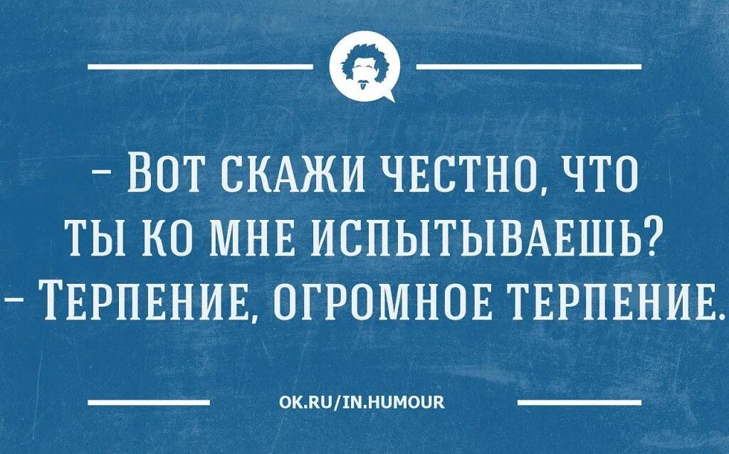 Терпи подруга. Терпение юмор. Анекдот про терпение. Шутки про терпение. Терпение цитаты смешные.