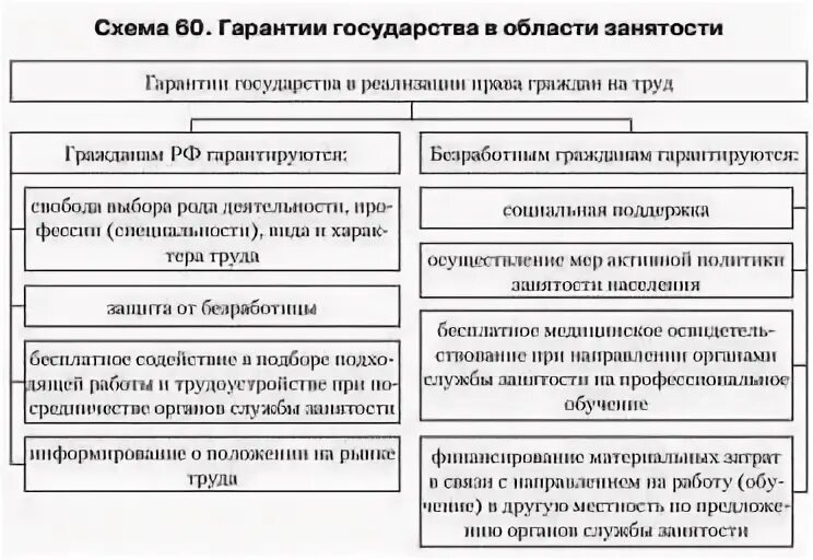 Гарантии государства