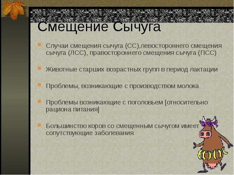 Смещение сычуга у коров. Левостороннее смещение сычуга. Причины смещения сычуга. Левостороннее смещение сычуга. Смещение сычуга у коров.