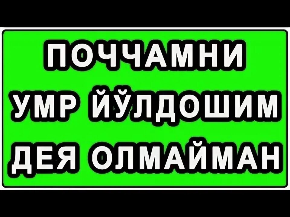 Хилола джумабаева. Умр йулдошим хакида статуслар. Умр йулдошим. Рашксиз эркак. Умр йулдошим.