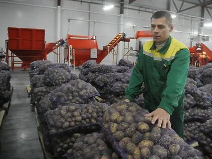 Омская область хозяйство промышленность
