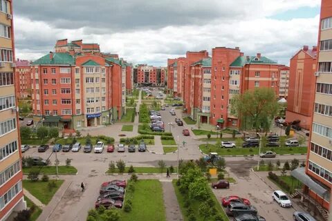 Лесной фрязино отзывы