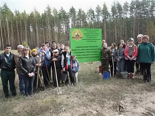 Павловское лесничество