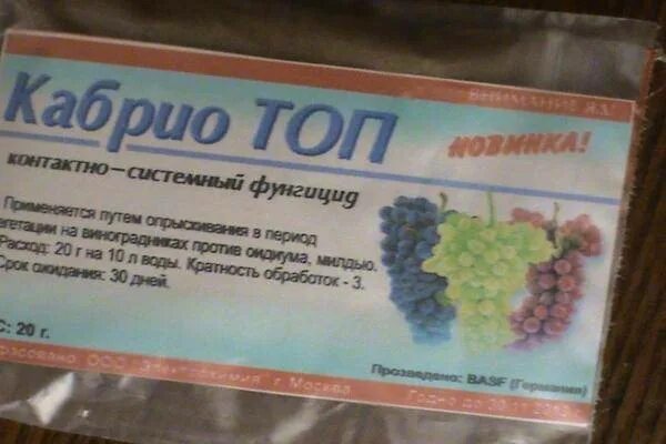 Пфклерос отзывы. Кабрио топ для винограда. кабрио препарат для винограда. пфклерос для винограда. кабрио топ для винограда фунгицид.
