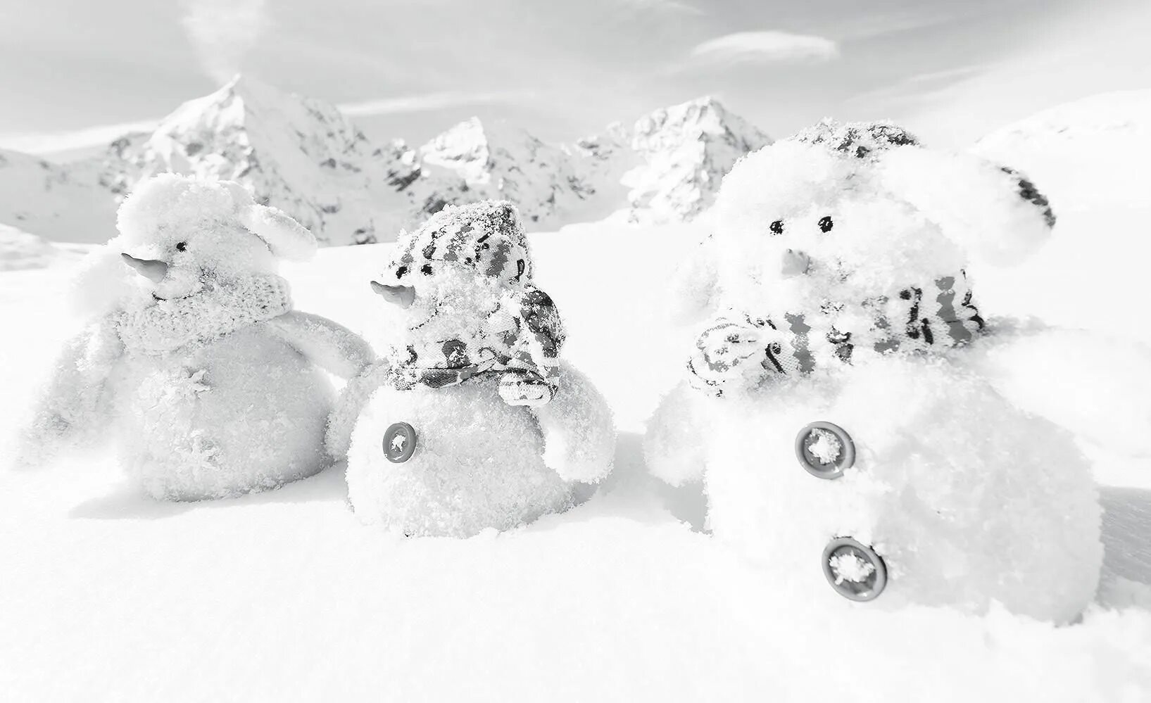 Снежный день на русском. Всемирный день снега. 22 Января Всемирный день снега. Снежки. Всемирный день снега Международный день зимних видов спорта.