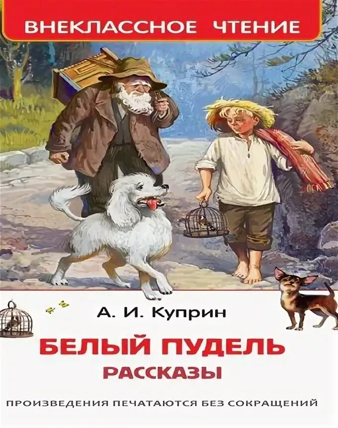 Белый пудель читать полностью. Белый пудель читать полностью
