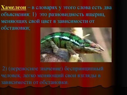 Произведение хамелеон является