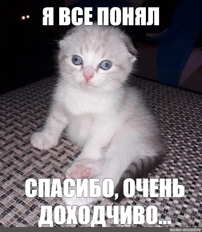 Понял осознал