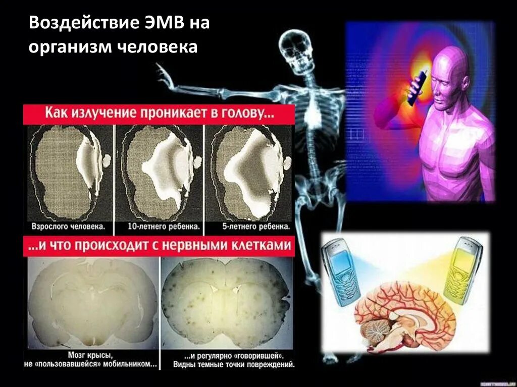 Электромагнитное поле живого организма. Воздействие электромагнитных волн на живые организмы. Влияние электромагнитных волн на человека. Воздействие ЭМВ на организм человека. Влияние электромагнитного излучения на организм человека.