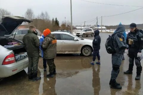 Найти свежие
