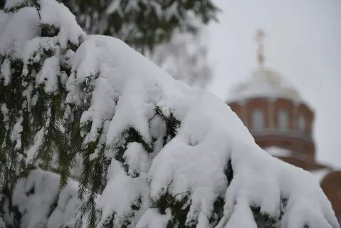 Погода в 28 ноября