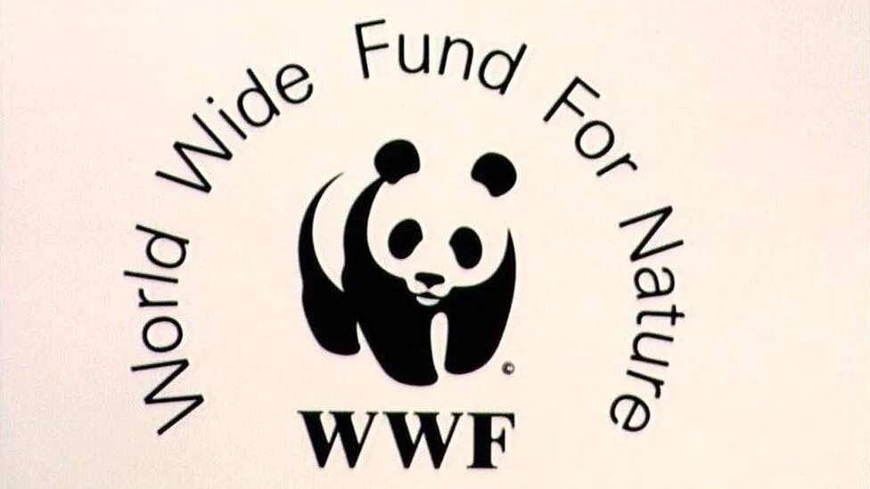 ВВФ Всемирный фонд дикой природы. Всемирный фонд дикой природы WWF логотип. 11 Сентября - день рождения Всемирного фонда дикой природы (WWF). Эмблема фонда охраны дикой природы.