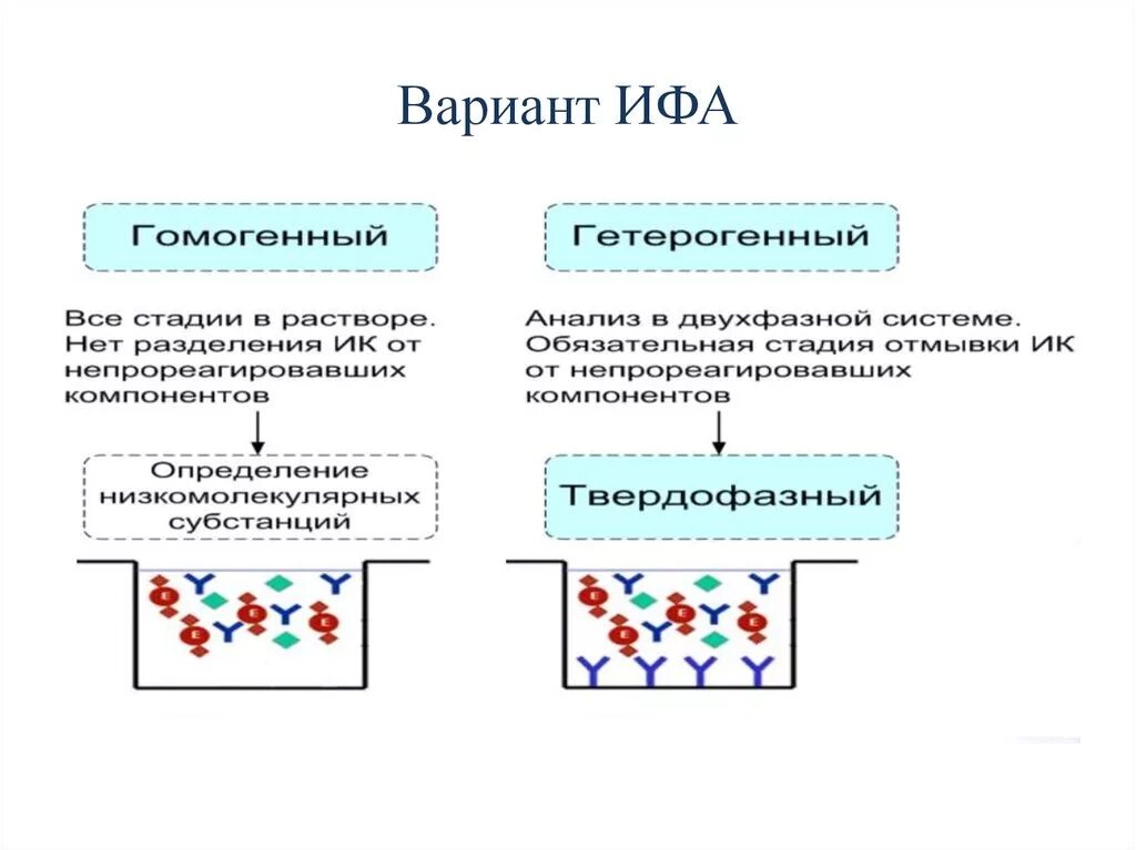 Непрямой метод ИФА схема. Гомогенный ИФА схема. Непрямой метод иммуноферментного анализа. Схема постановки реакции ИФА. Ифа качественно что это