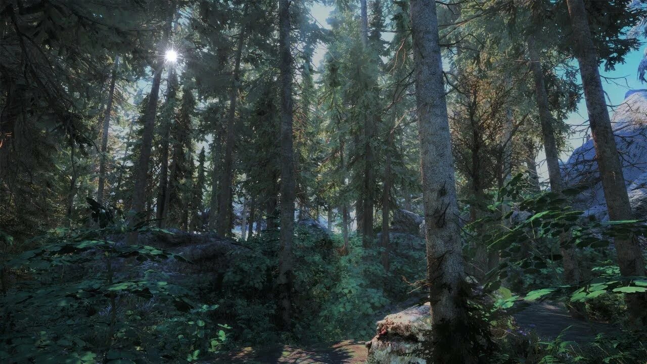 Skyrim graphics. Skyrim Ultra Modded. Скайрим ультра Графика. Скайрим на ультра. Скайрим 2021.