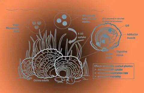 Science of the total environment