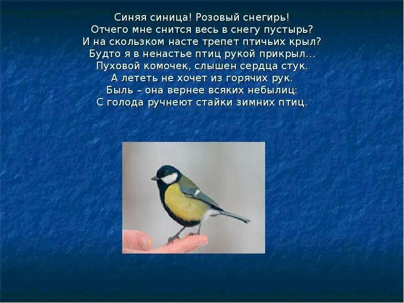 Синяя синичка весь белый свет. Синяя синичка весь белый свет одела. Синяя синица розовый Снегирь стихотворение. Синяя синичка весь свет одела ответ.