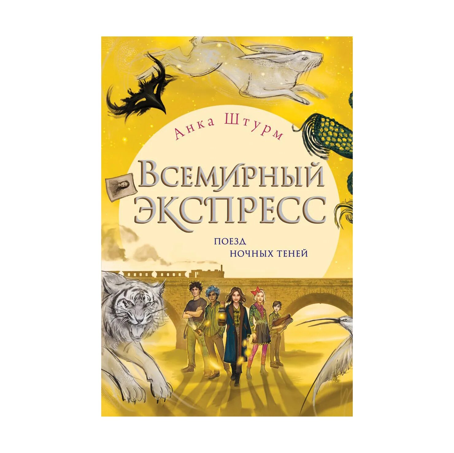 Ночной поезд книга. Всемирный экспресс. Поезд ночных теней Анка штурм книга. Всемирный экспресс книга. Книга Всемирный экспресс 2. Анка штурм Всемирный экспресс.